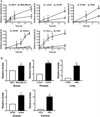 Intracellular Hyper-Acidification Potentiated by Hydrogen Sulfide Mediates Invasive and Therapy Resistant Cancer Cell Death